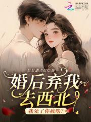 婚后弃我去西北，我死了你疯啥？