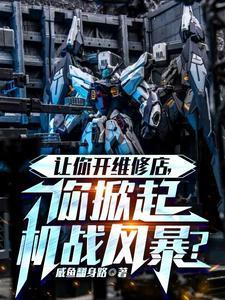 让你开维修店,你掀起机战风暴?