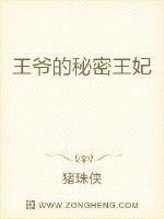 王爷的秘密王妃