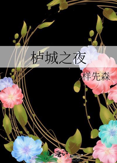 栌城之夜