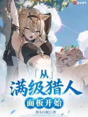 从满级猎人面板开始