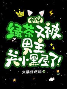 快穿:绿茶又被男主关小黑屋了!