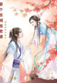 娶个反贼当老婆